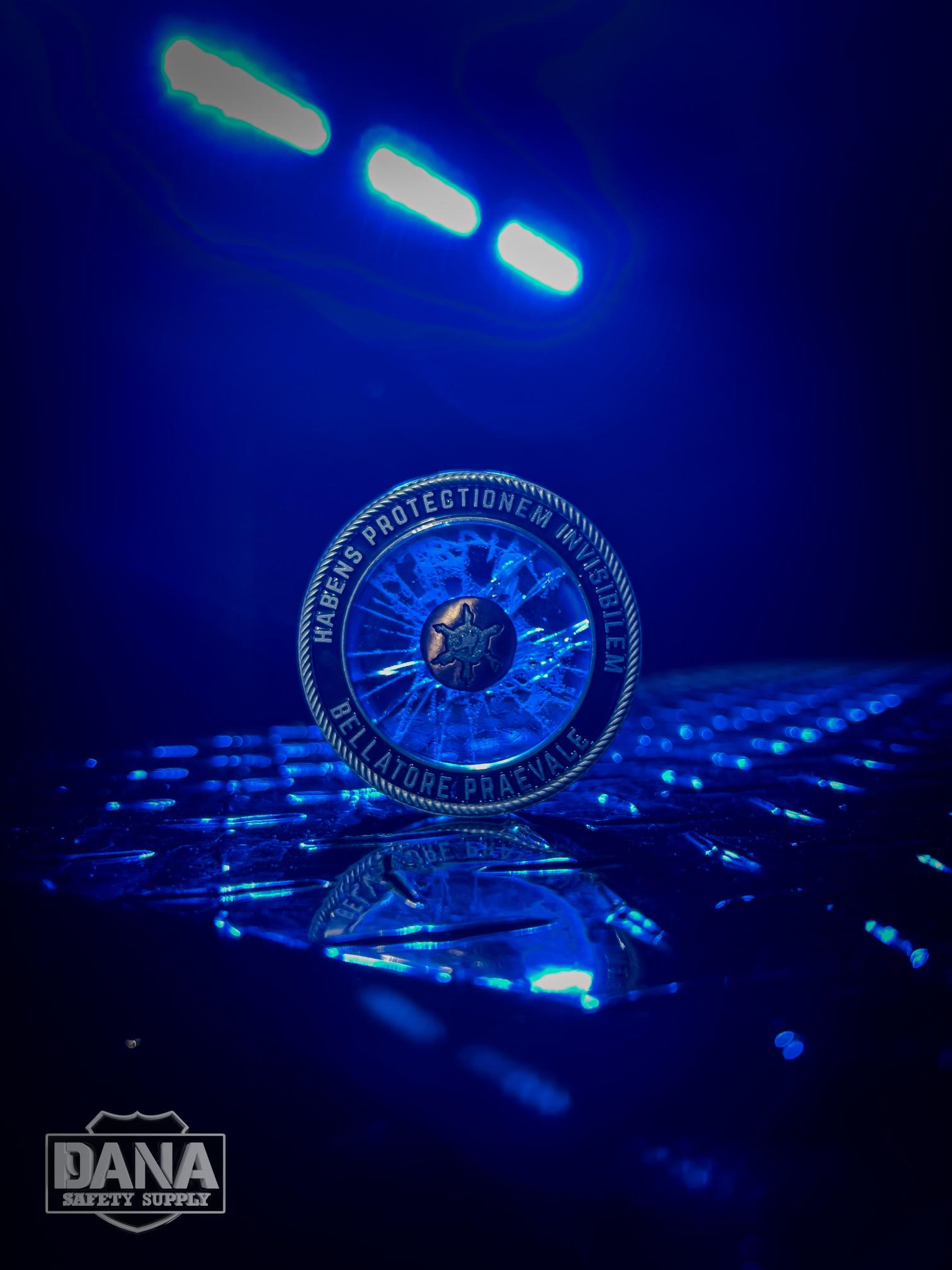 DSS BallisTech Challenge Coin